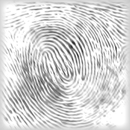 Image smearing by anisotropic diffusion